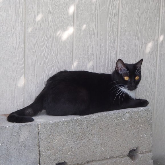 Share My Items And I Will Share Yours - Picture 7 of 7